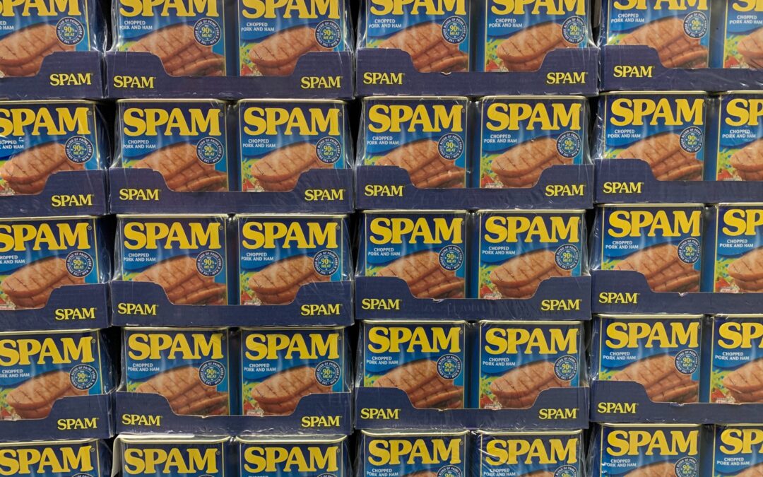 How do I stop SPAM from my website’s contact form?